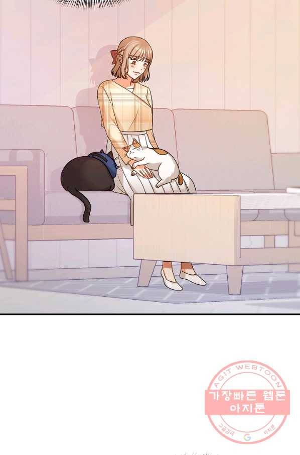 우리집 고양이는 베지테리언 솔직히 채식 신경 쓰여요 44