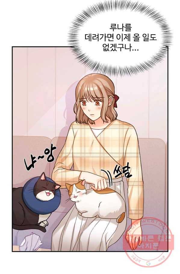 우리집 고양이는 베지테리언 솔직히 채식 신경 쓰여요 45
