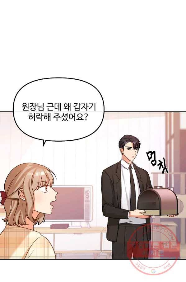 우리집 고양이는 베지테리언 솔직히 채식 신경 쓰여요 46