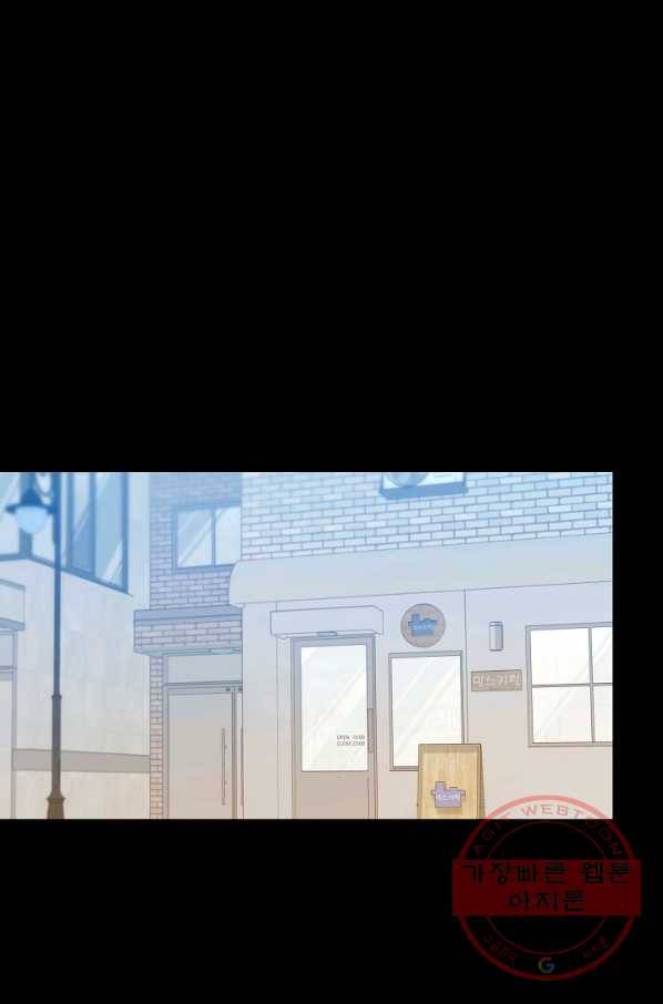 우리집 고양이는 베지테리언 솔직히 채식 신경 쓰여요 49