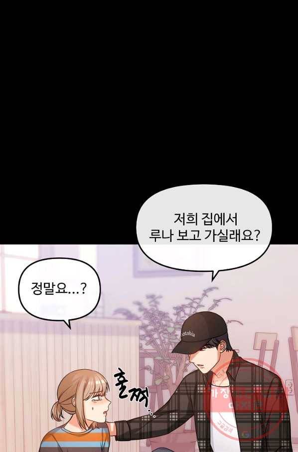 우리집 고양이는 베지테리언 솔직히 채식 신경 쓰여요 50