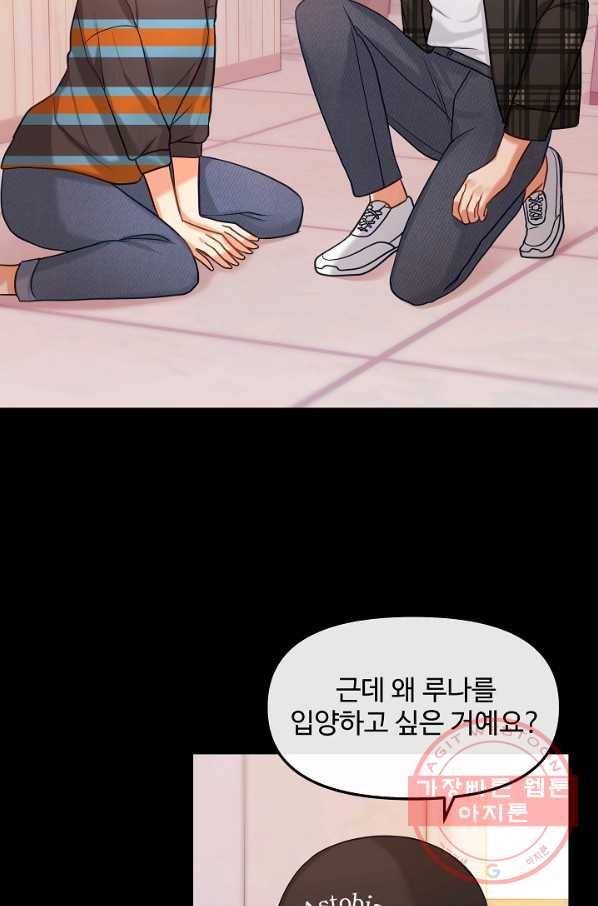 우리집 고양이는 베지테리언 솔직히 채식 신경 쓰여요 51
