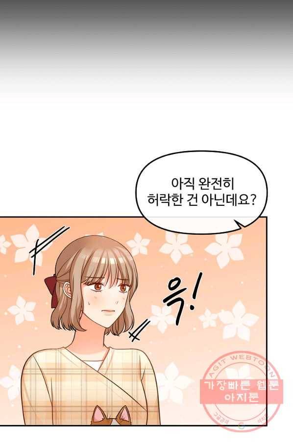 우리집 고양이는 베지테리언 솔직히 채식 신경 쓰여요 60