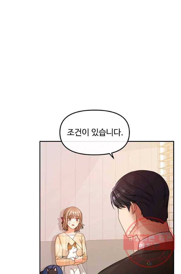 우리집 고양이는 베지테리언 솔직히 채식 신경 쓰여요 61