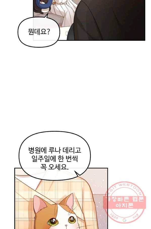 우리집 고양이는 베지테리언 솔직히 채식 신경 쓰여요 62