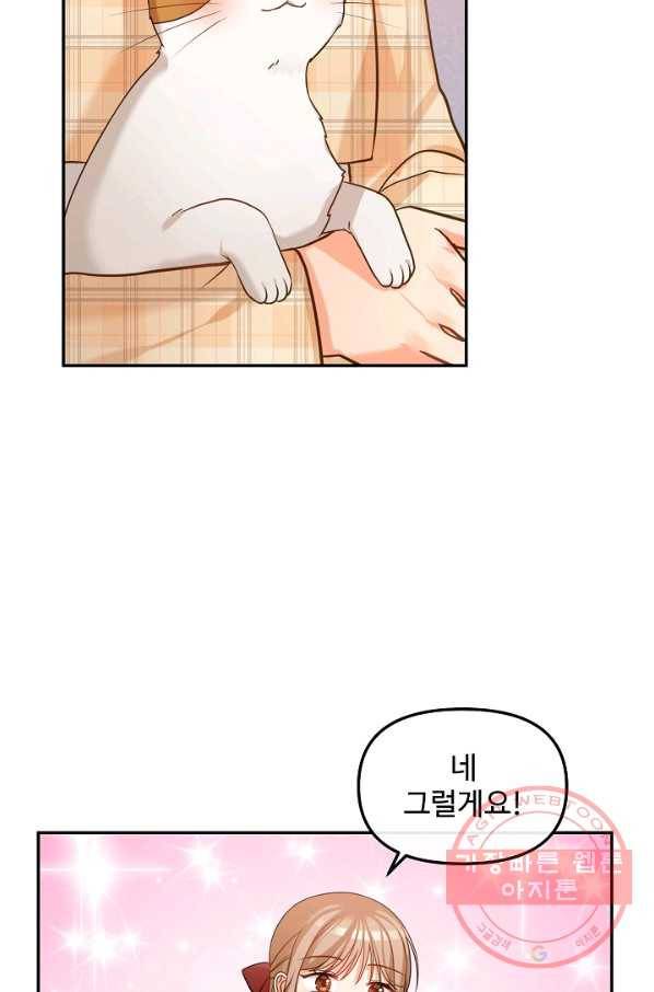 우리집 고양이는 베지테리언 솔직히 채식 신경 쓰여요 63