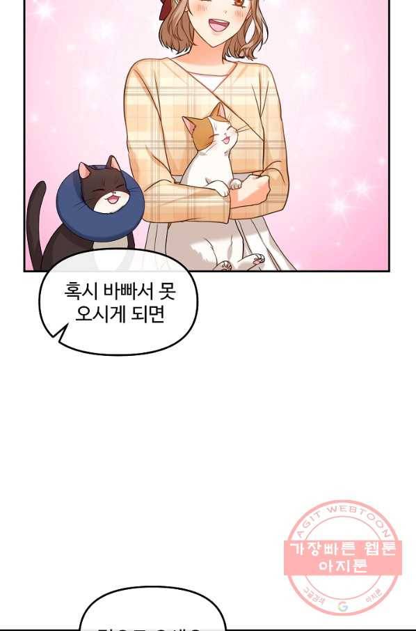 우리집 고양이는 베지테리언 솔직히 채식 신경 쓰여요 64