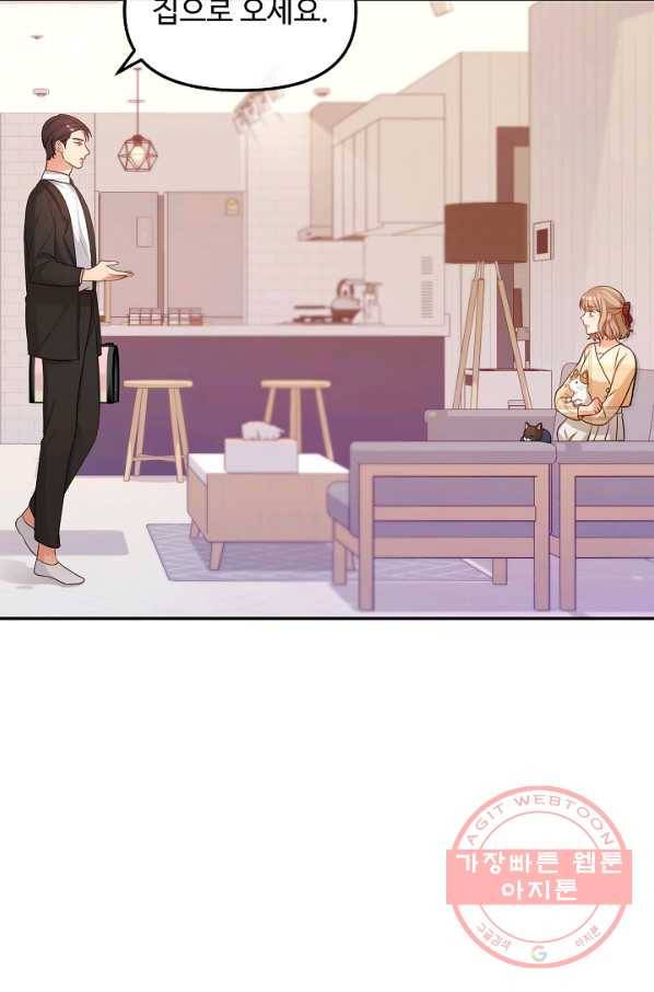 우리집 고양이는 베지테리언 솔직히 채식 신경 쓰여요 65