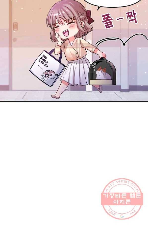 우리집 고양이는 베지테리언 솔직히 채식 신경 쓰여요 70