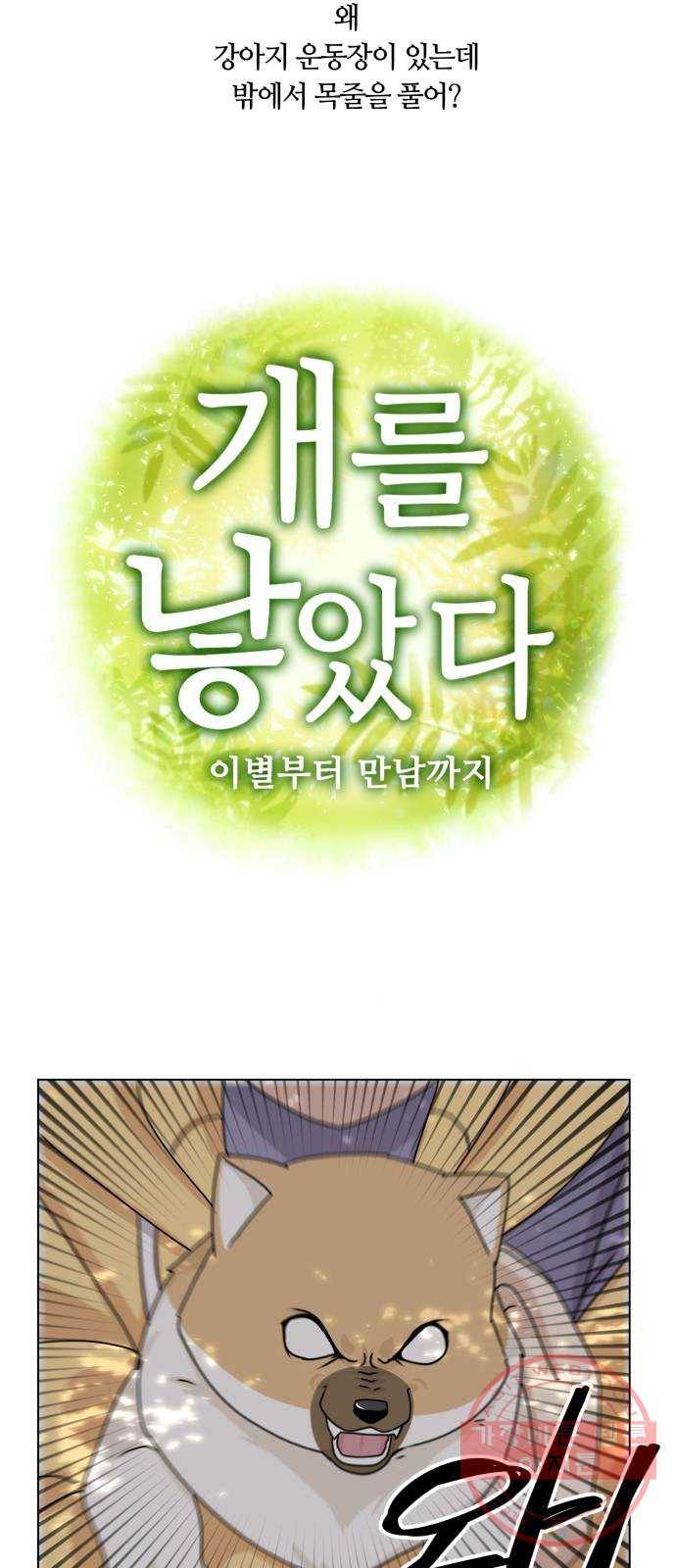 개를 낳았다 시즌2 82화 3