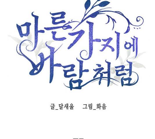 마른 가지에 바람처럼 75화 14