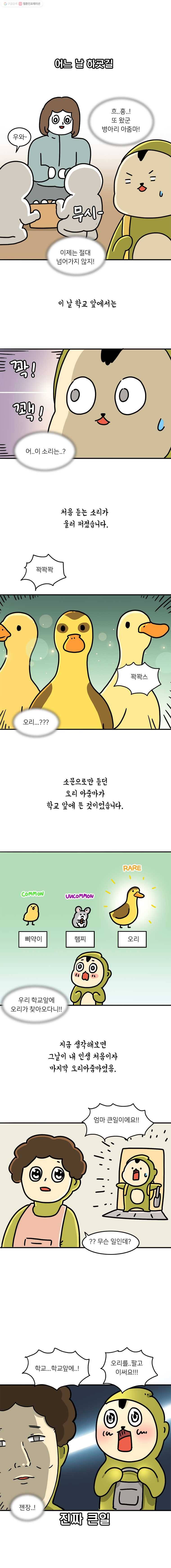 키몽의 호구로운 생활 138화 오리 키우기 3