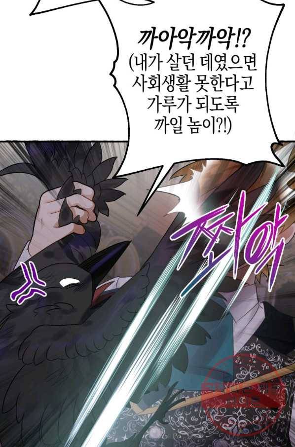 하필이면 까마귀가 되어버렸다 18화 28