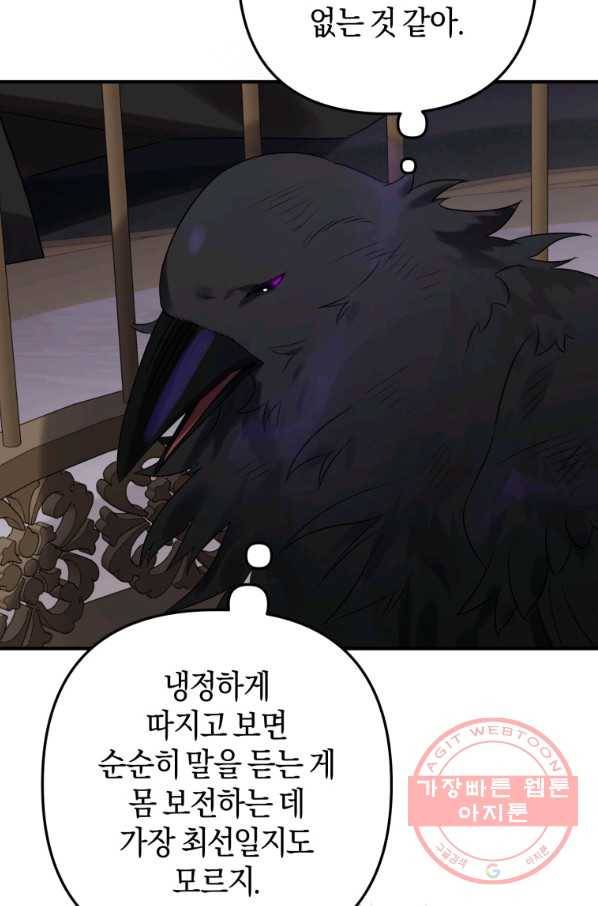 하필이면 까마귀가 되어버렸다 18화 90