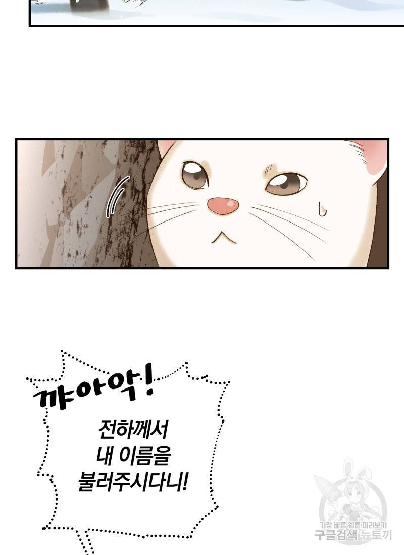흰 족제비 양에게 죽음을! 11화 6