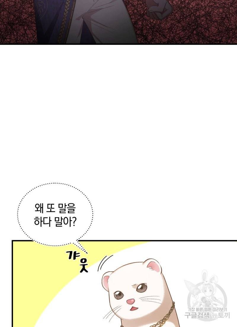 흰 족제비 양에게 죽음을! 12화 16