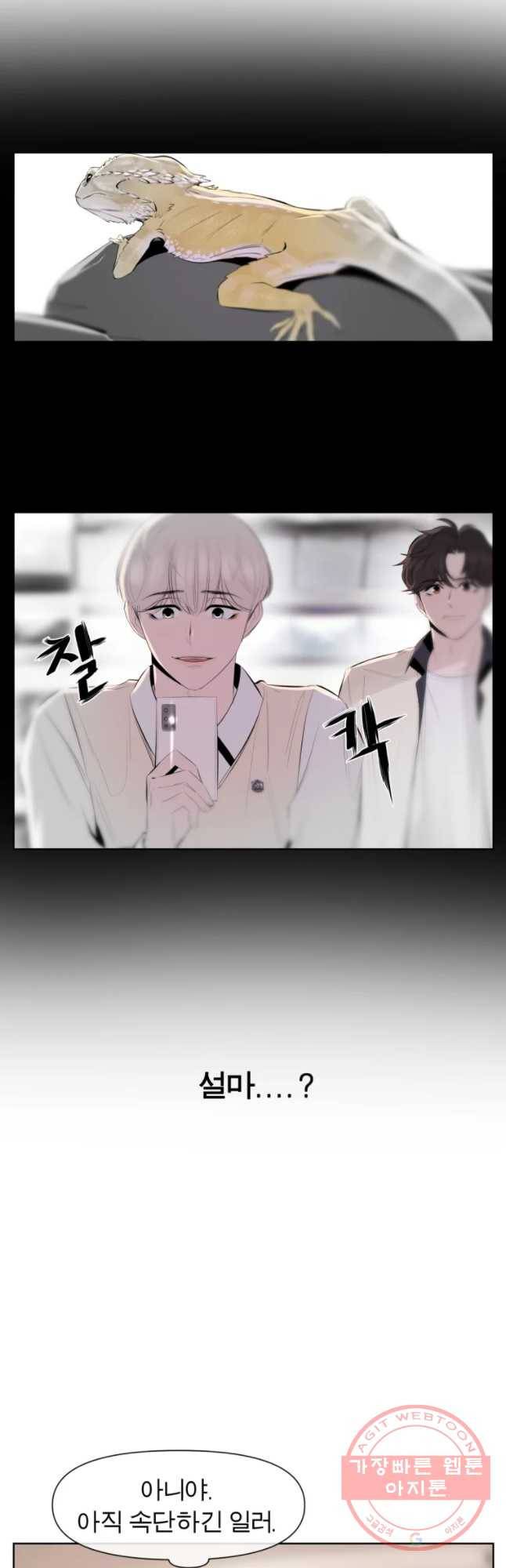 케어시트 21화 무리 14