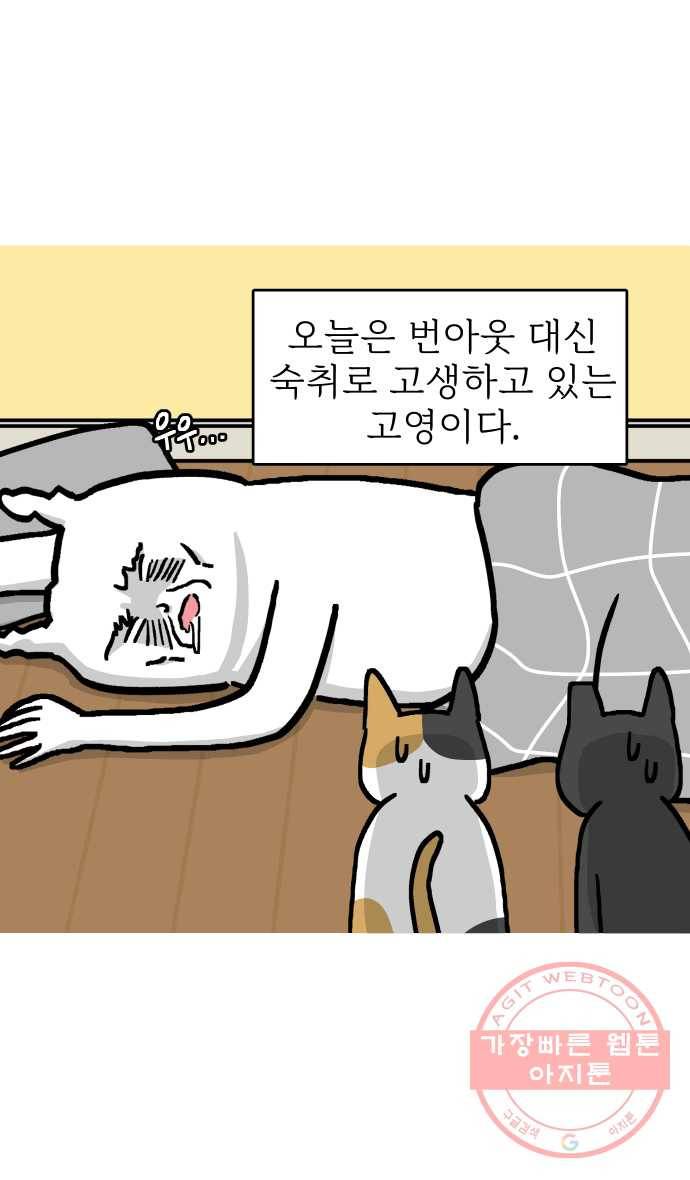 애옹식당 11화 황금빛 해장 3