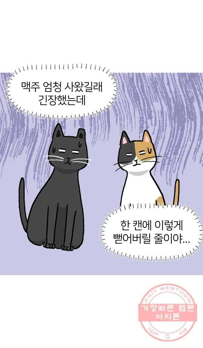 애옹식당 11화 황금빛 해장 4