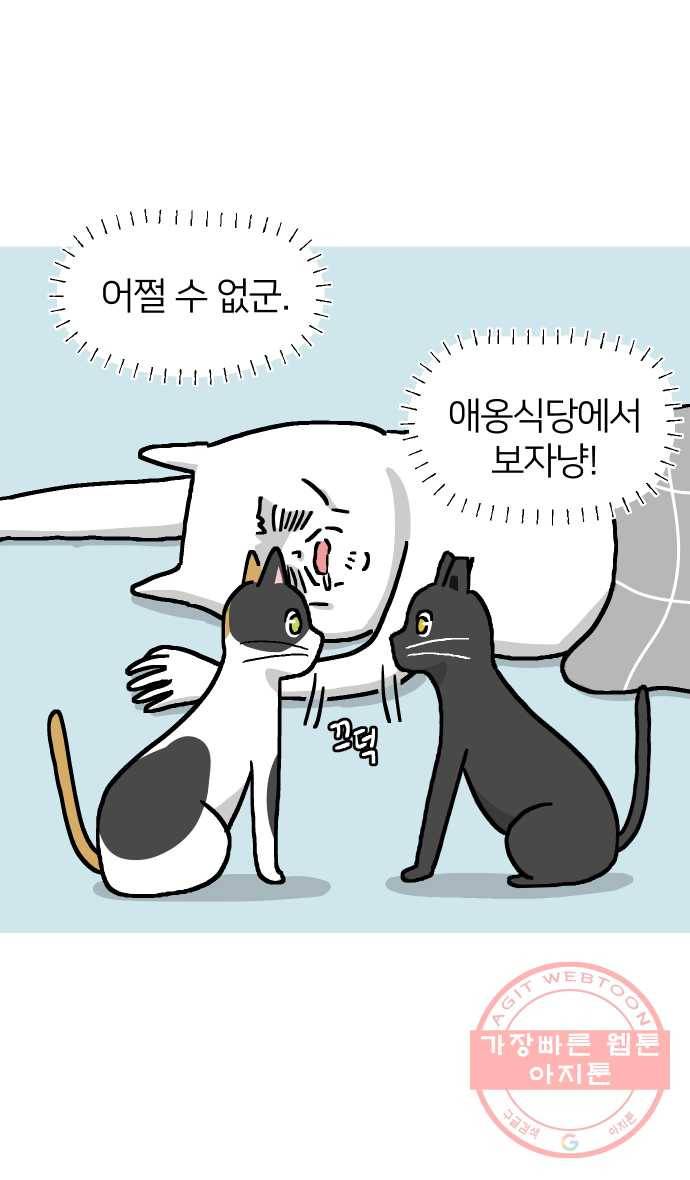 애옹식당 11화 황금빛 해장 5