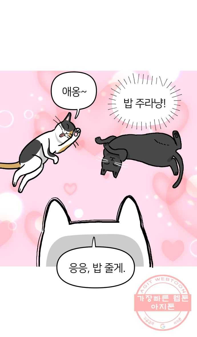 애옹식당 11화 황금빛 해장 29