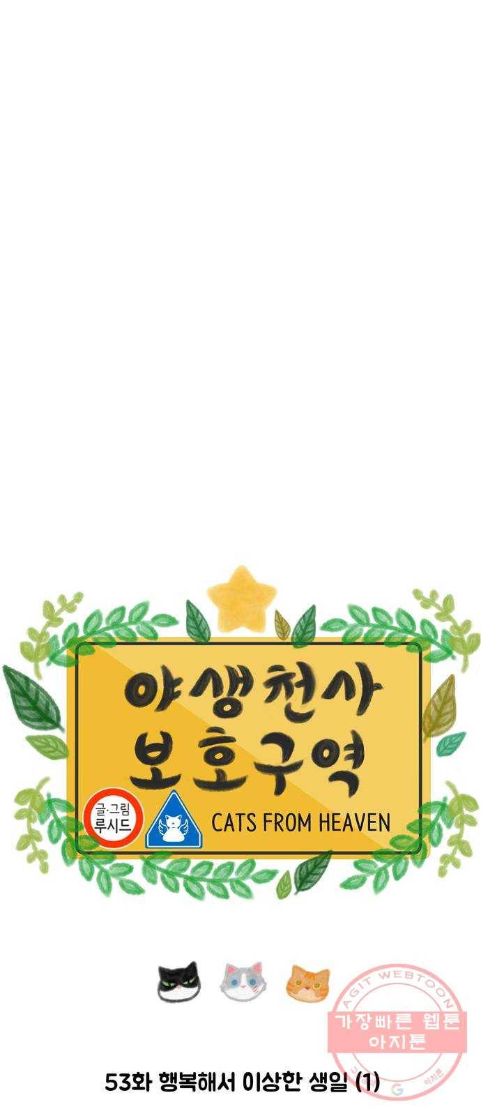 야생천사 보호구역 53화 행복해서 이상한 생일 (1) 6