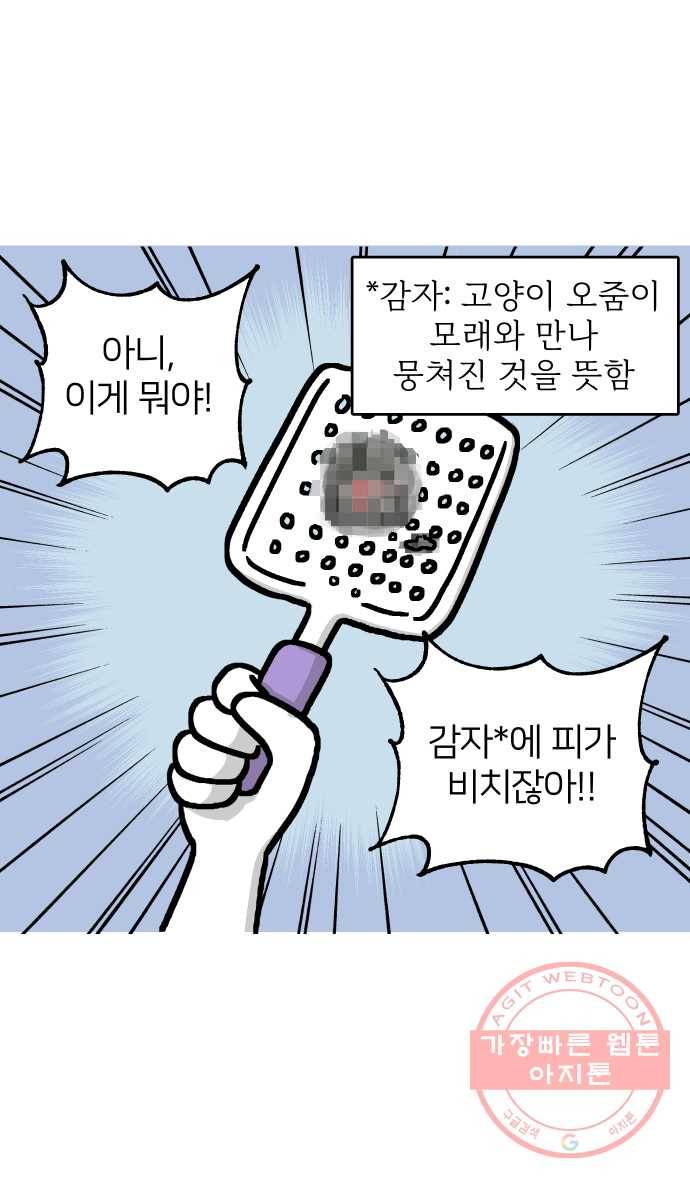 애옹식당 13화 아프면 안돼 4