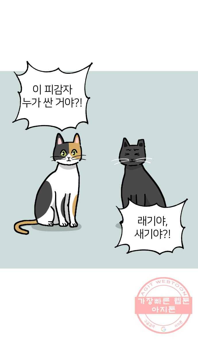 애옹식당 13화 아프면 안돼 5
