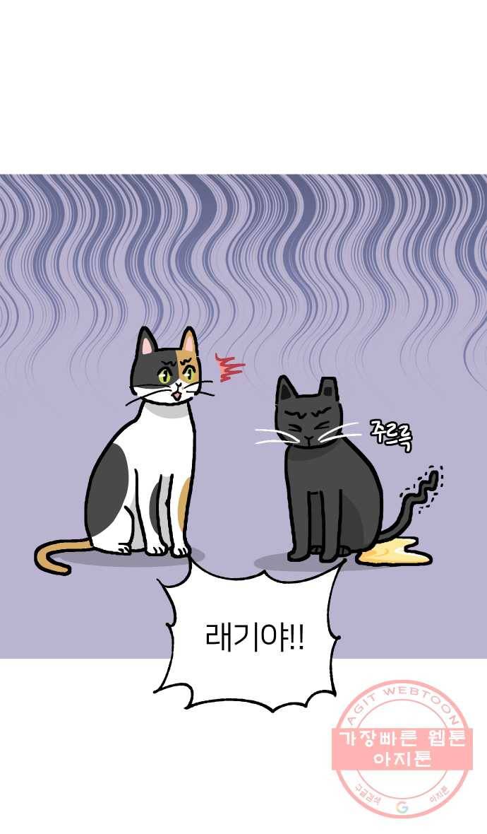 애옹식당 13화 아프면 안돼 6