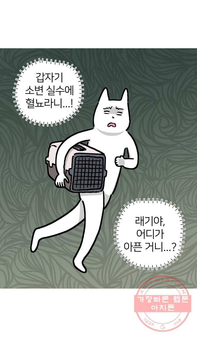 애옹식당 13화 아프면 안돼 7