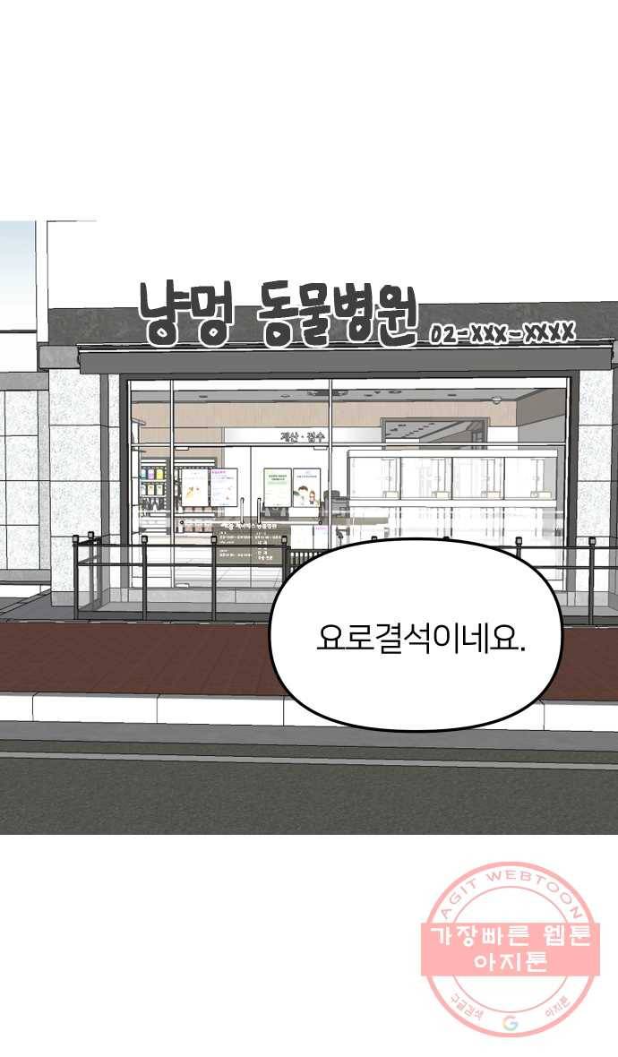 애옹식당 13화 아프면 안돼 8