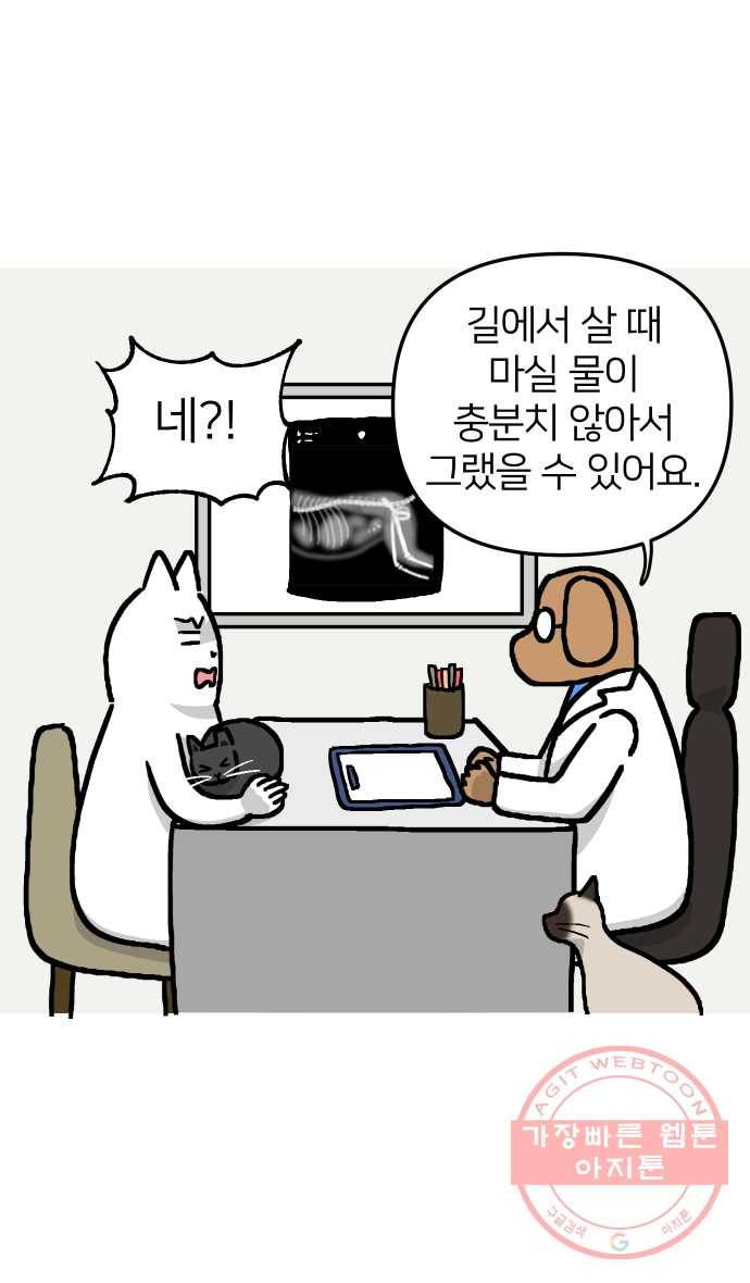 애옹식당 13화 아프면 안돼 9