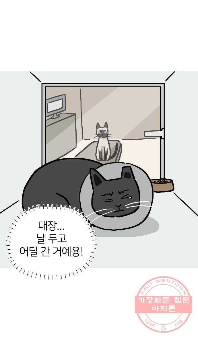 애옹식당 13화 아프면 안돼 16