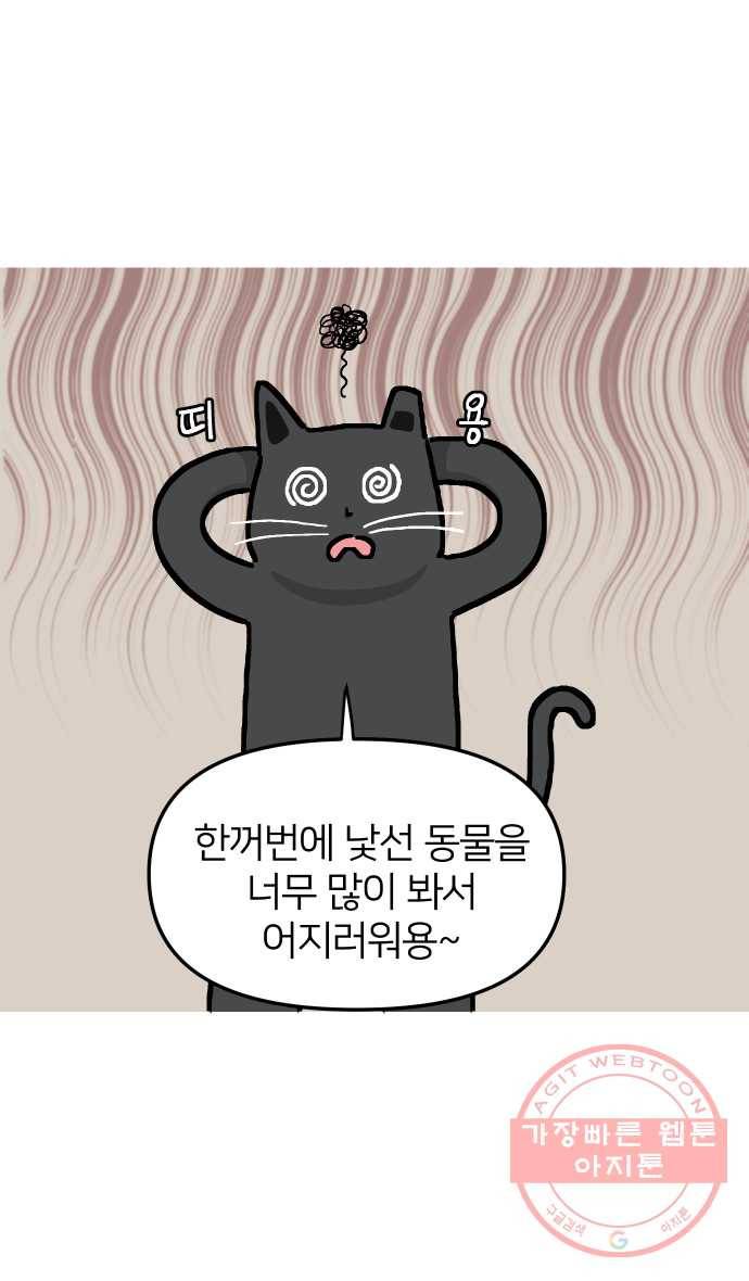애옹식당 13화 아프면 안돼 21