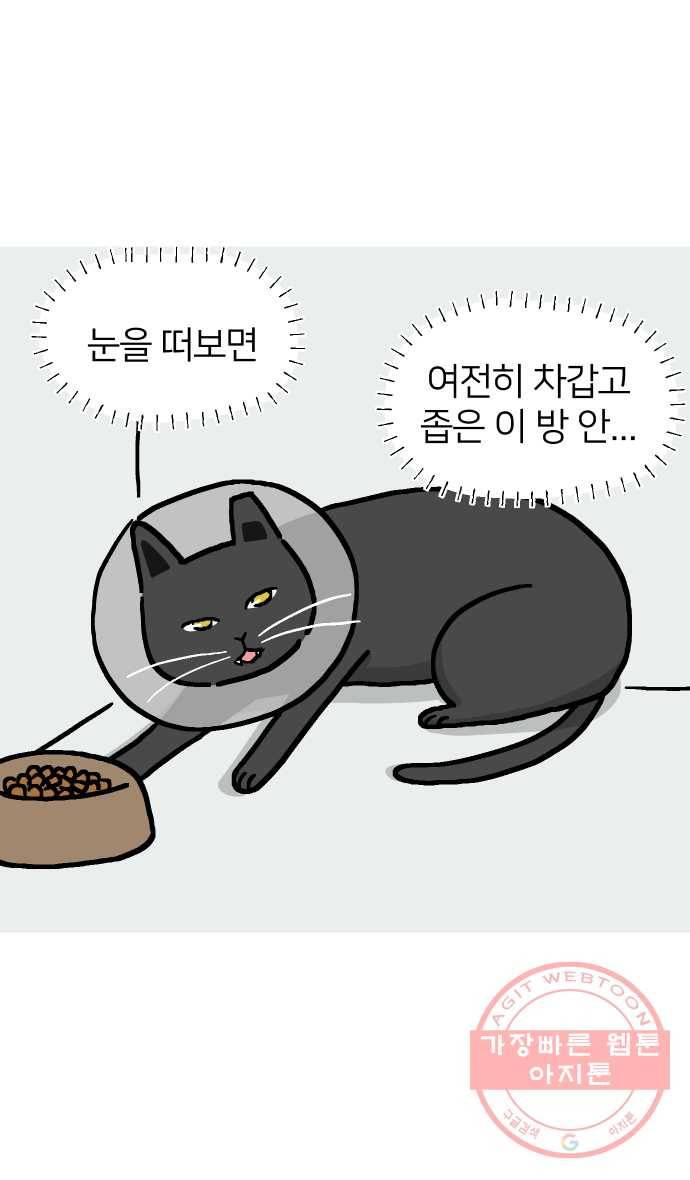 애옹식당 13화 아프면 안돼 34