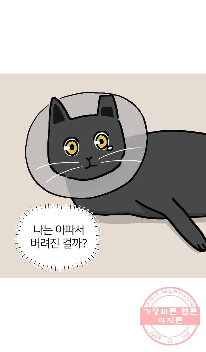 애옹식당 13화 아프면 안돼 36