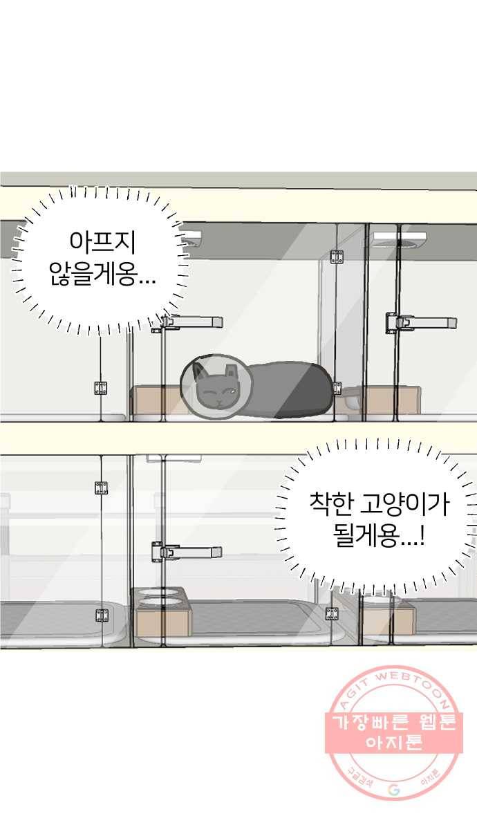 애옹식당 13화 아프면 안돼 37
