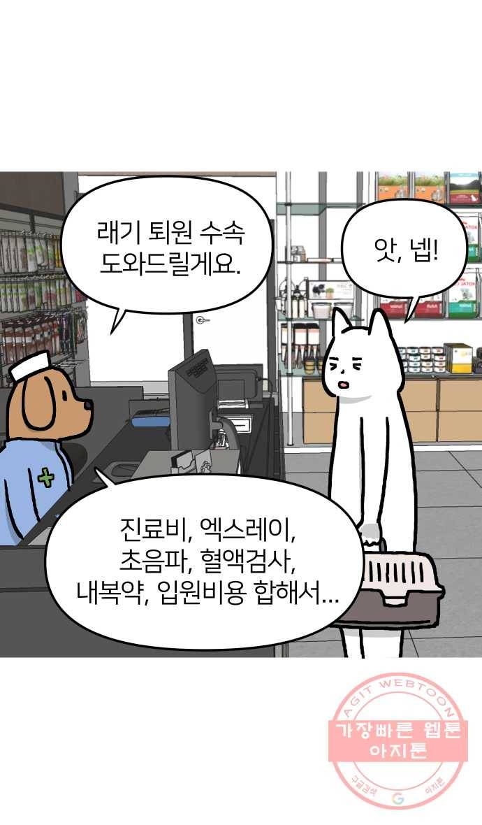 애옹식당 13화 아프면 안돼 41