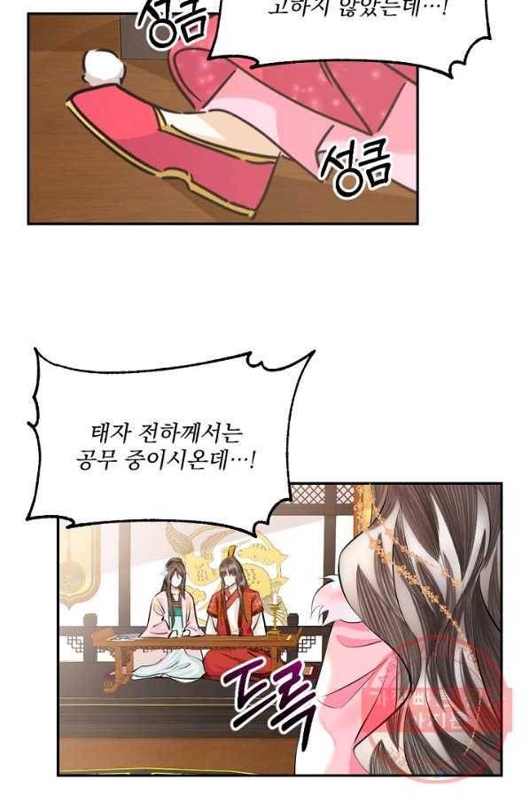 황태자의 첩 6화 28