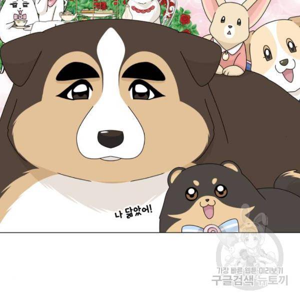 개를 낳았다 시즌2 90화 4