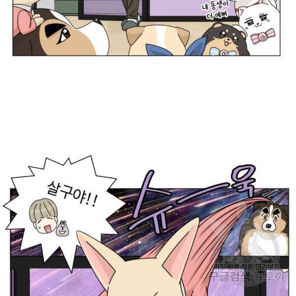 개를 낳았다 시즌2 90화 10