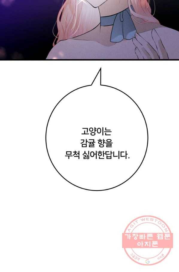이제 그만 파혼해 드릴게요 18화 14