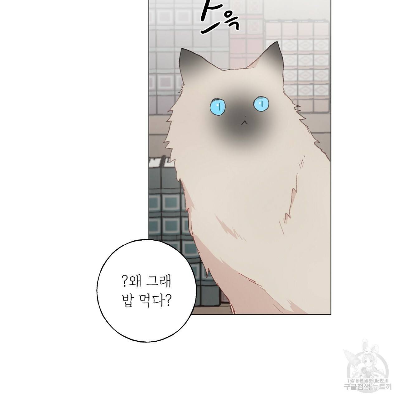 스승님이 나의 남편 후보들을 골라왔다 29화 9
