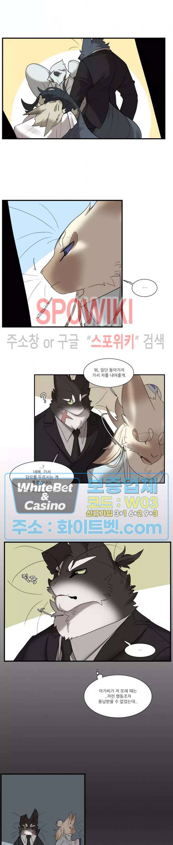 고양이 아가씨와 경호원들 256화 2