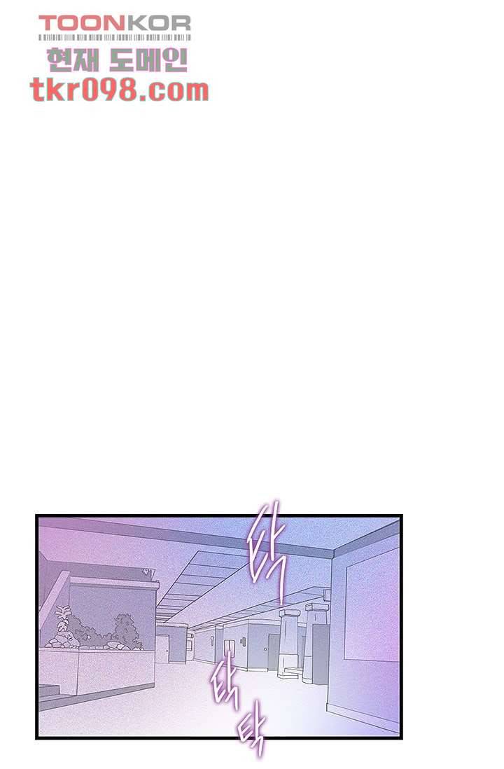 환상을 팝니다 26화 26