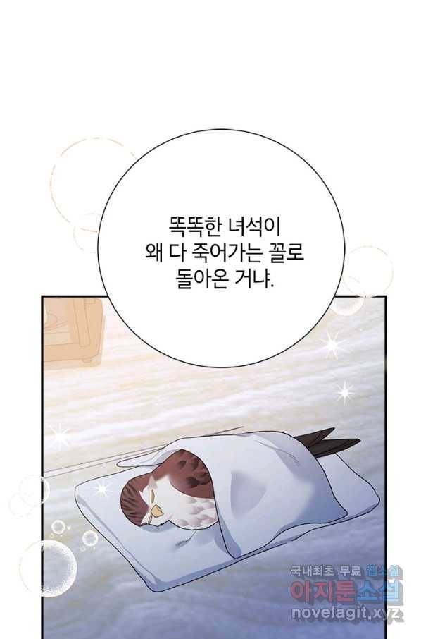 전령새 왕녀님 43화 22