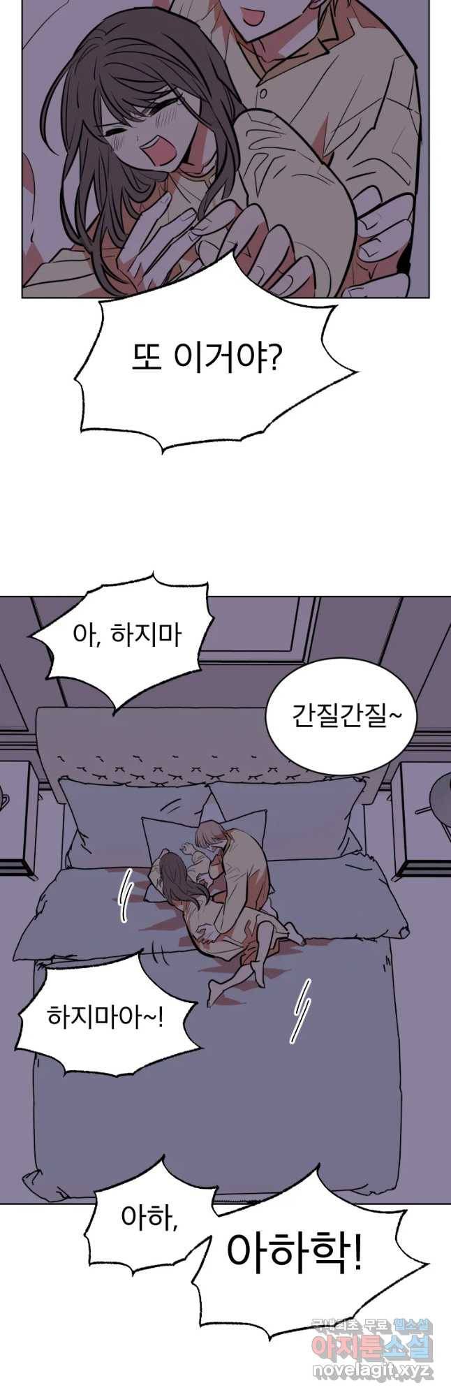 취향의 문제 4.확신 28