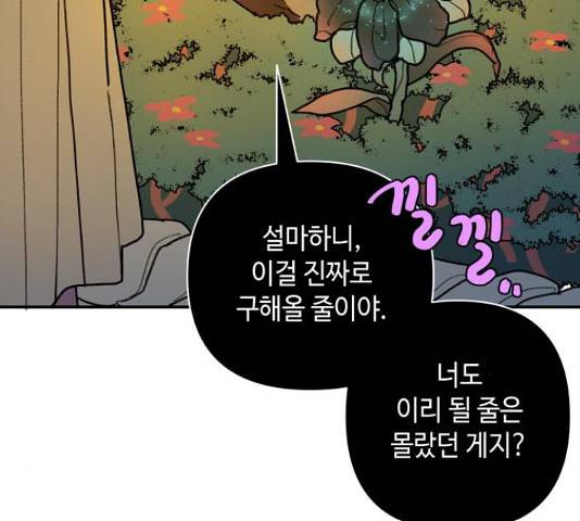 밤을 깨우는 마법 33화 71