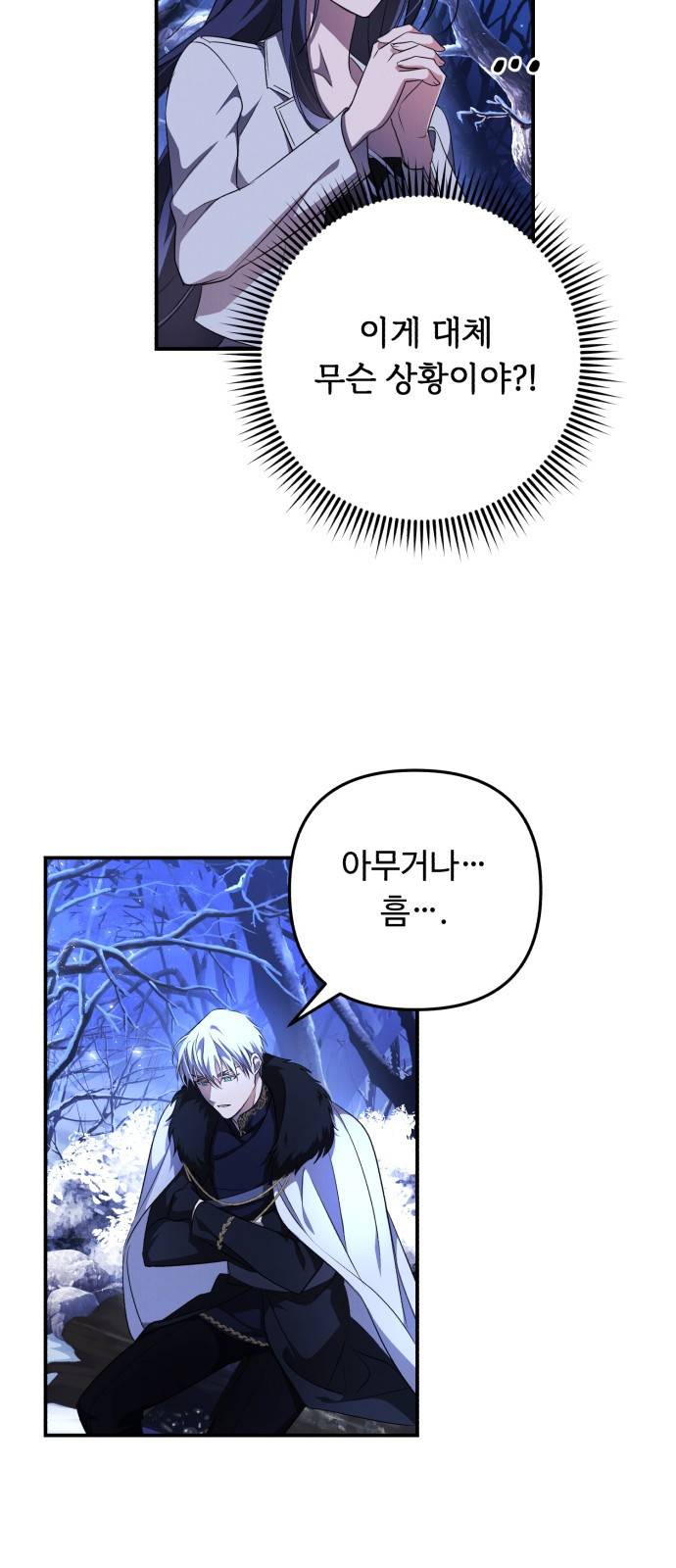 북부 공작님을 유혹하겠습니다 2화 13