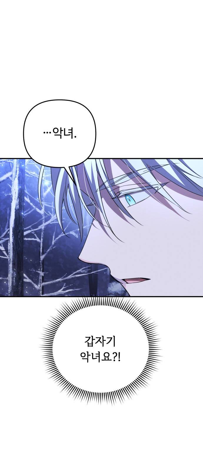 북부 공작님을 유혹하겠습니다 2화 14